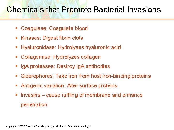 Chemicals that Promote Bacterial Invasions § Coagulase: Coagulate blood § Kinases: Digest fibrin clots