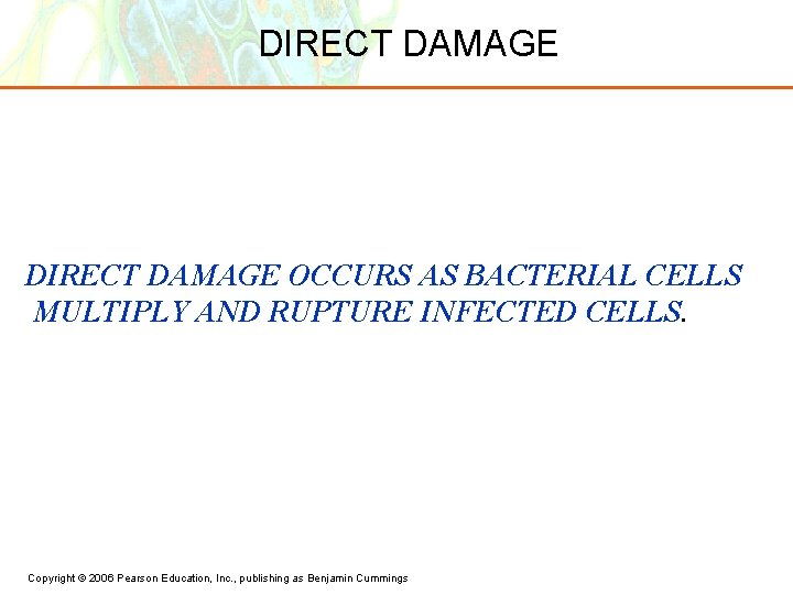DIRECT DAMAGE OCCURS AS BACTERIAL CELLS MULTIPLY AND RUPTURE INFECTED CELLS. Copyright © 2006