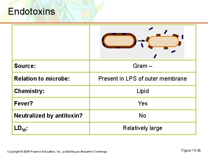 Endotoxins Source: Relation to microbe: Gram – Present in LPS of outer membrane Chemistry: