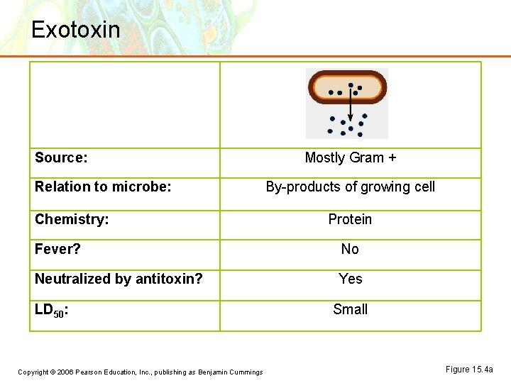 Exotoxin Source: Relation to microbe: Chemistry: Mostly Gram + By-products of growing cell Protein