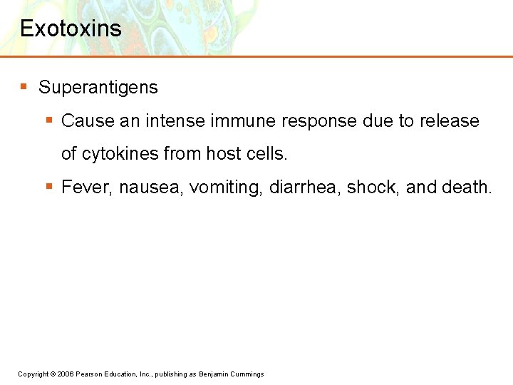 Exotoxins § Superantigens § Cause an intense immune response due to release of cytokines