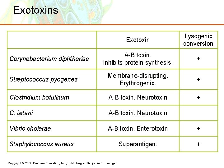Exotoxins Exotoxin Lysogenic conversion A-B toxin. Inhibits protein synthesis. + Streptococcus pyogenes Membrane-disrupting. Erythrogenic.