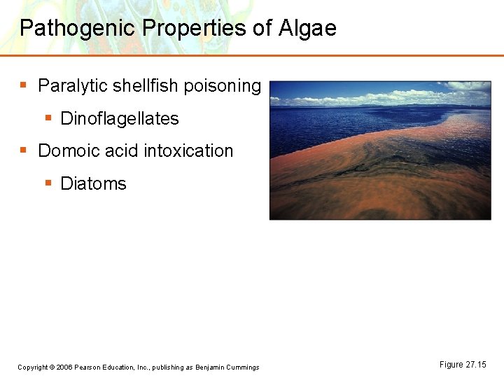 Pathogenic Properties of Algae § Paralytic shellfish poisoning § Dinoflagellates § Domoic acid intoxication