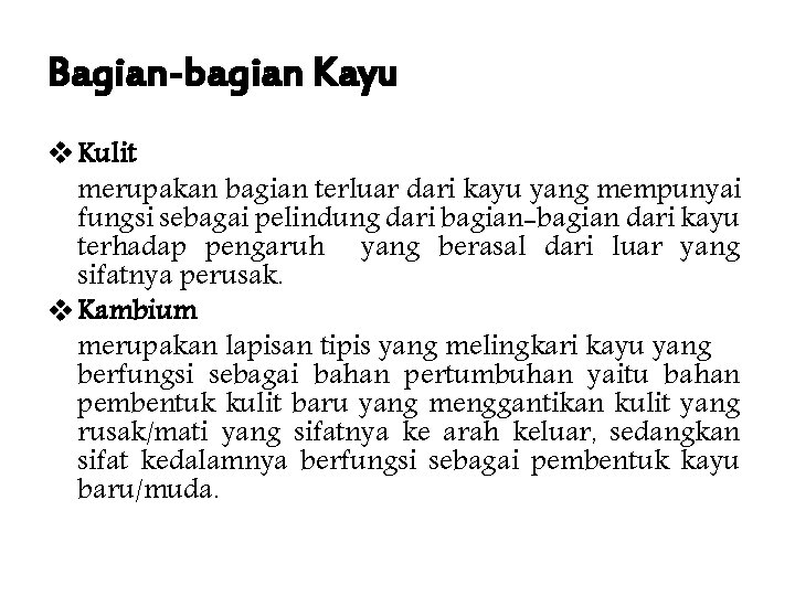 Bagian-bagian Kayu v Kulit merupakan bagian terluar dari kayu yang mempunyai fungsi sebagai pelindung