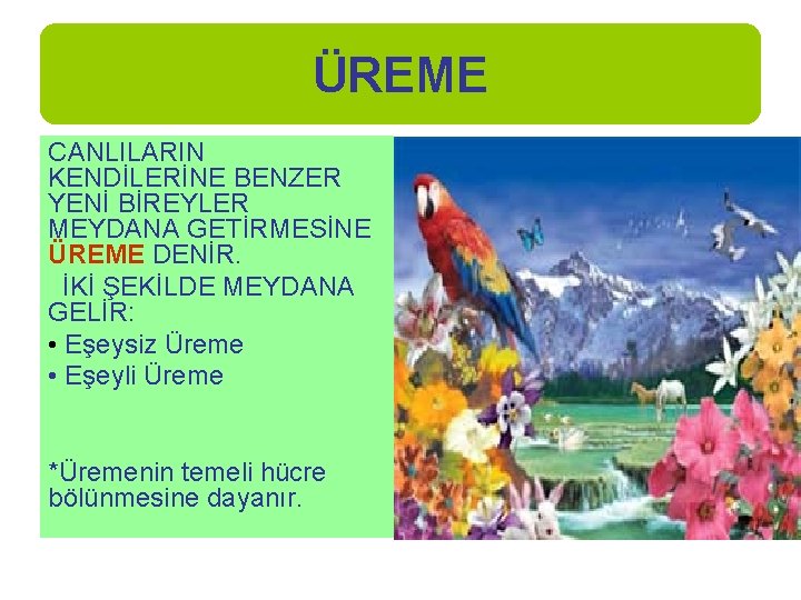 ÜREME CANLILARIN KENDİLERİNE BENZER YENİ BİREYLER MEYDANA GETİRMESİNE ÜREME DENİR. İKİ ŞEKİLDE MEYDANA GELİR: