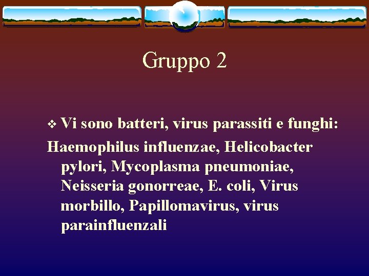 Gruppo 2 v Vi sono batteri, virus parassiti e funghi: Haemophilus influenzae, Helicobacter pylori,