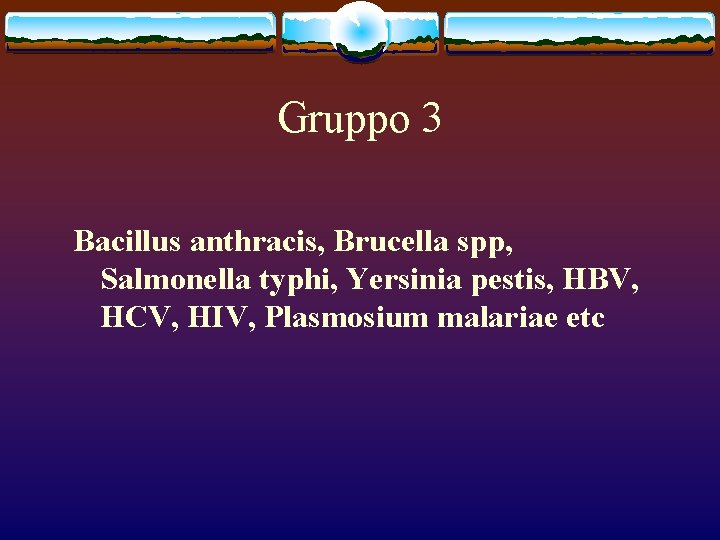 Gruppo 3 Bacillus anthracis, Brucella spp, Salmonella typhi, Yersinia pestis, HBV, HCV, HIV, Plasmosium