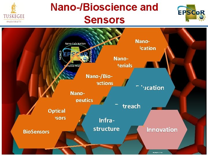 Nano-/Bioscience and Sensors Nano. Fabrication Nano-Fabrication Sensors Biotechnology Nanobio-Materials Nano-/Bio. Interactions Nano. Therapeutics Optical