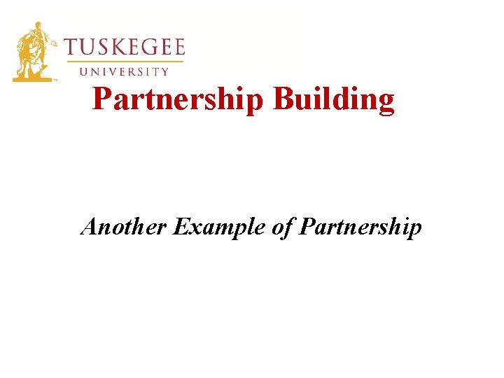 Partnership Building Another Example of Partnership 