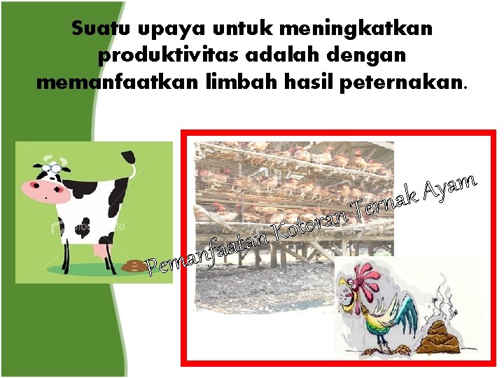 Suatu upaya untuk meningkatkan produktivitas adalah dengan memanfaatkan limbah hasil peternakan. r e T