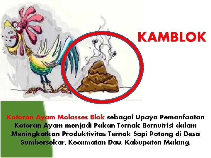 KAMBLOK Kotoran Ayam Molasses Blok sebagai Upaya Pemanfaatan Kotoran Ayam menjadi Pakan Ternak Bernutrisi