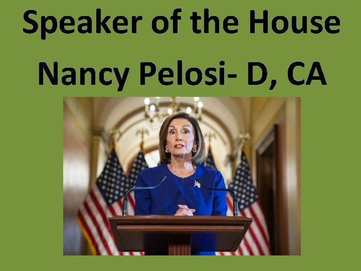 Speaker of the House Nancy Pelosi- D, CA 