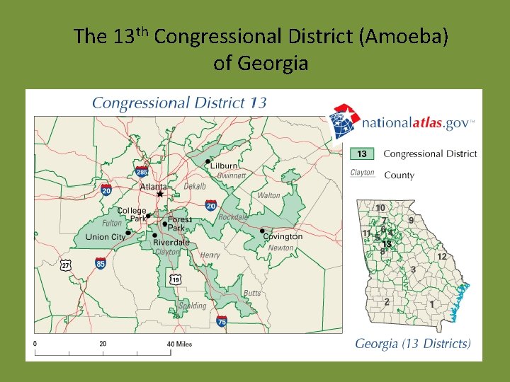 The 13 th Congressional District (Amoeba) of Georgia 