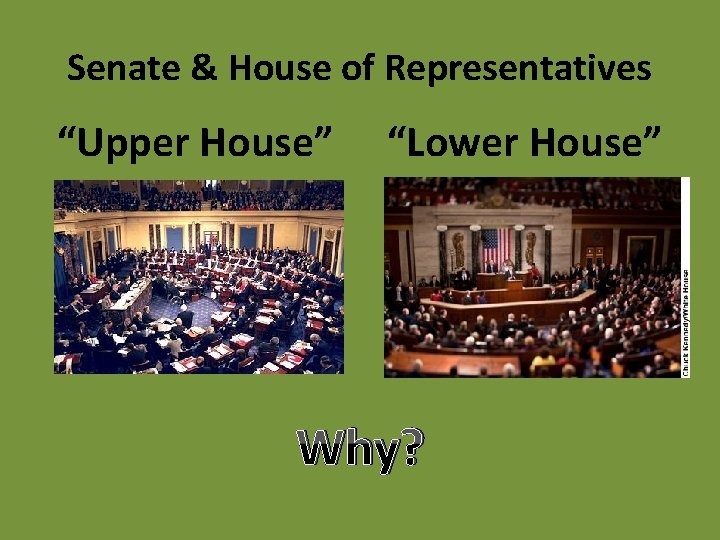Senate & House of Representatives “Upper House” “Lower House” Why? 