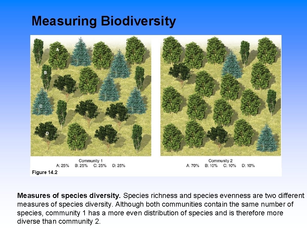 Measuring Biodiversity Figure 14. 2 Measures of species diversity. Species richness and species evenness