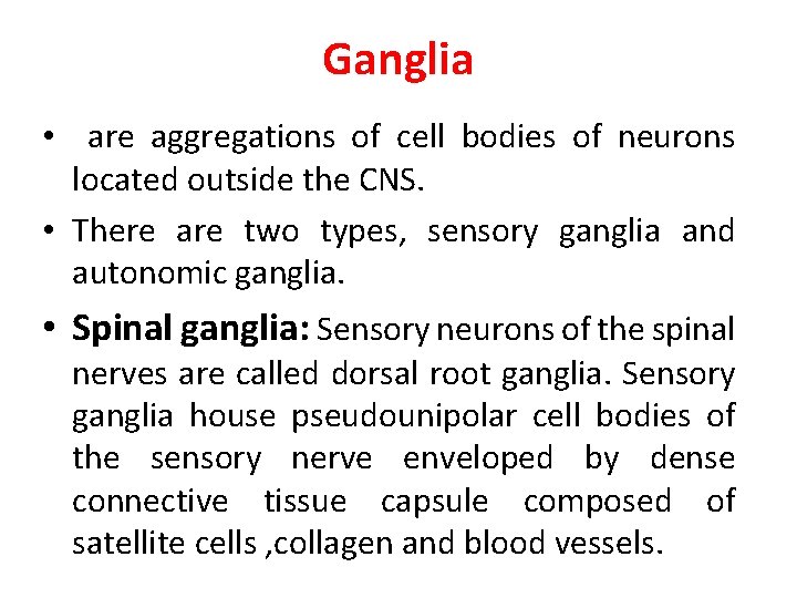 Ganglia • are aggregations of cell bodies of neurons located outside the CNS. •