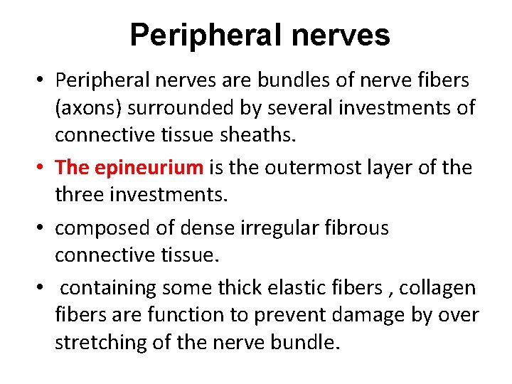 Peripheral nerves • Peripheral nerves are bundles of nerve fibers (axons) surrounded by several