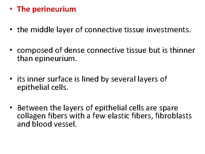  • The perineurium • the middle layer of connective tissue investments. • composed