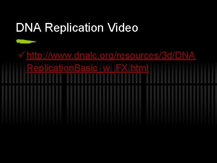 DNA Replication Video ü http: //www. dnalc. org/resources/3 d/DNA Replication. Basic_w_FX. html 