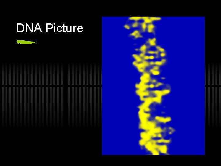 DNA Picture 
