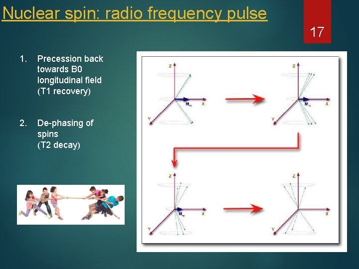 Nuclear spin: radio frequency pulse 17 1. Precession back towards B 0 longitudinal field