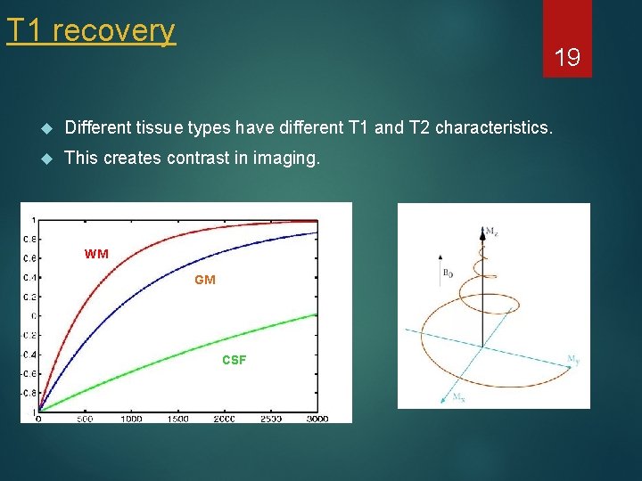 T 1 recovery 19 Different tissue types have different T 1 and T 2