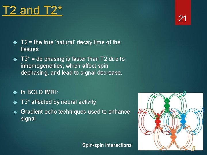T 2 and T 2* 21 T 2 = the true ‘natural’ decay time