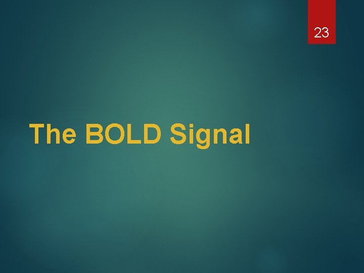 23 The BOLD Signal 