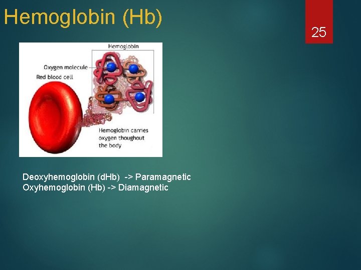 Hemoglobin (Hb) Deoxyhemoglobin (d. Hb) -> Paramagnetic Oxyhemoglobin (Hb) -> Diamagnetic 25 