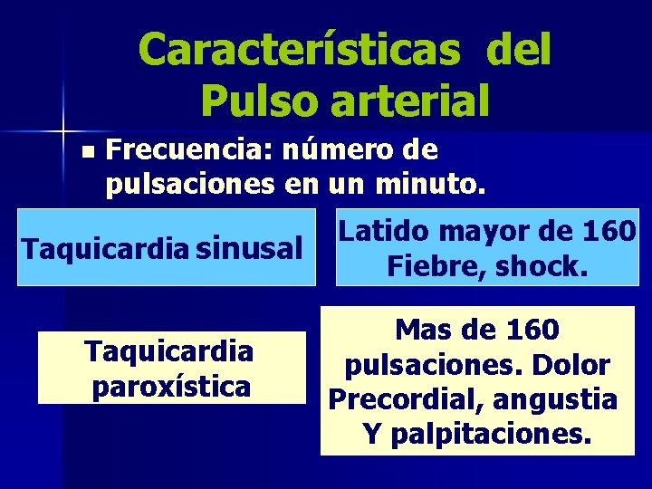 Características del Pulso arterial n Frecuencia: número de pulsaciones en un minuto. Taquicardia sinusal