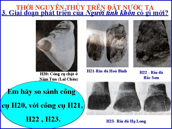 THỜI NGUYÊN THỦY TRÊN ĐẤT NƯỚC TA 3. Giai đoạn phát triển của Người