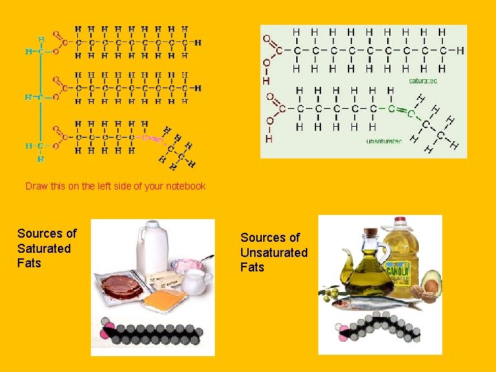 Draw this on the left side of your notebook Sources of Saturated Fats Sources