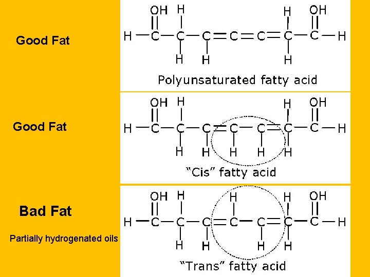 Good Fat Bad Fat Partially hydrogenated oils 