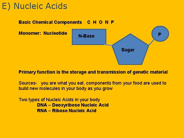 E) Nucleic Acids Basic Chemical Components Monomer: Nucleotide C H O N P P