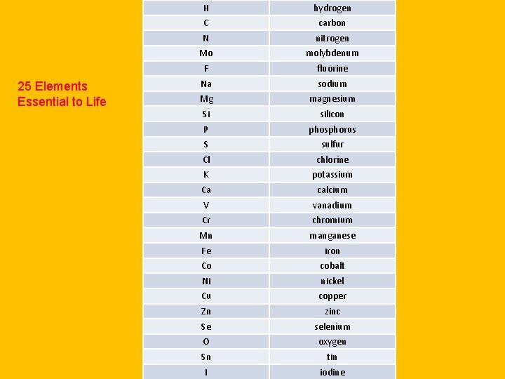 25 Elements Essential to Life H hydrogen C carbon N nitrogen Mo molybdenum F