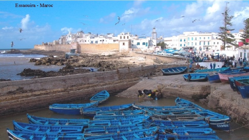 Essaouira - Maroc 