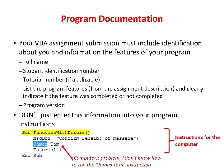 Program Documentation • Your VBA assignment submission must include identification about you and information