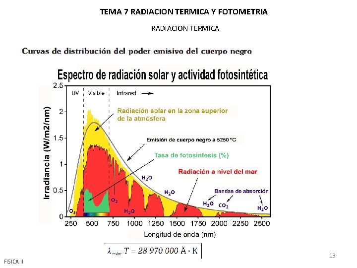 TEMA 7 RADIACION TERMICA Y FOTOMETRIA RADIACION TERMICA FISICA II 13 