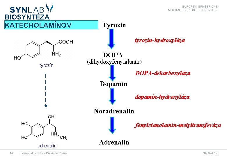 EUROPE'S NUMBER ONE MEDICAL DIAGNOSTICS PROVIDER BIOSYNTÉZA KATECHOLAMÍNOV Tyrozín tyrozín-hydroxyláza DOPA tyrozín (dihydoxyfenylalanín) DOPA-dekarboxyláza