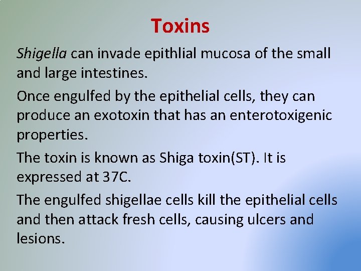 Toxins Shigella can invade epithlial mucosa of the small and large intestines. Once engulfed