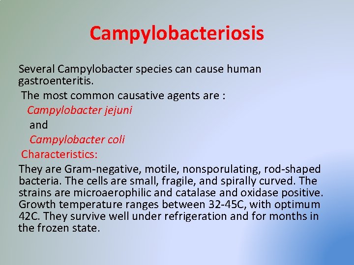 Campylobacteriosis Several Campylobacter species can cause human gastroenteritis. The most common causative agents are