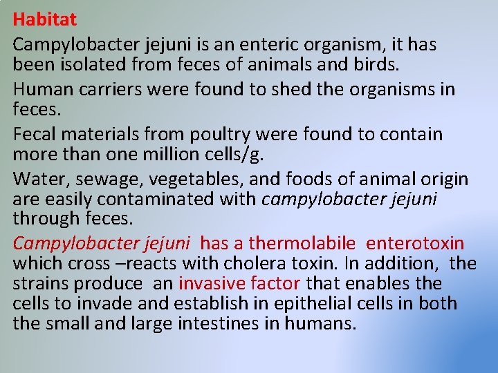 Habitat Campylobacter jejuni is an enteric organism, it has been isolated from feces of