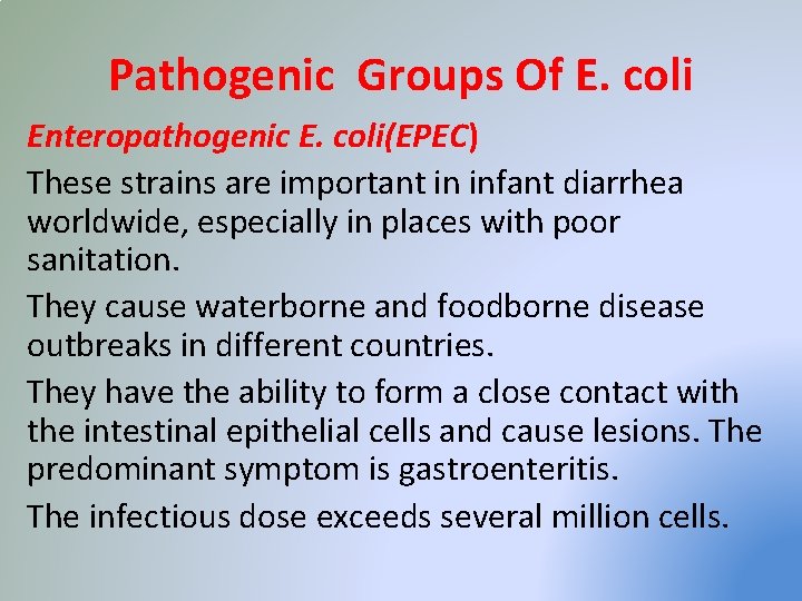Pathogenic Groups Of E. coli Enteropathogenic E. coli(EPEC) These strains are important in infant