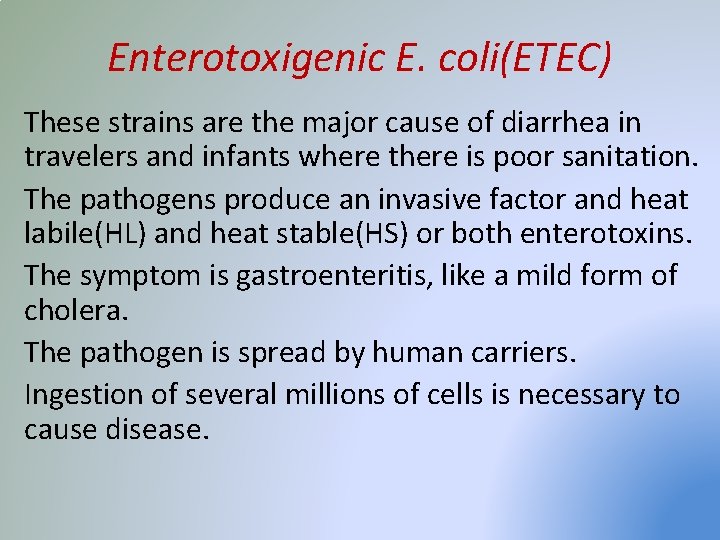 Enterotoxigenic E. coli(ETEC) These strains are the major cause of diarrhea in travelers and