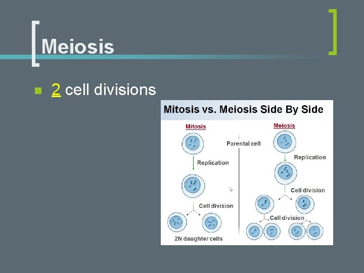 Meiosis n 2 cell divisions 