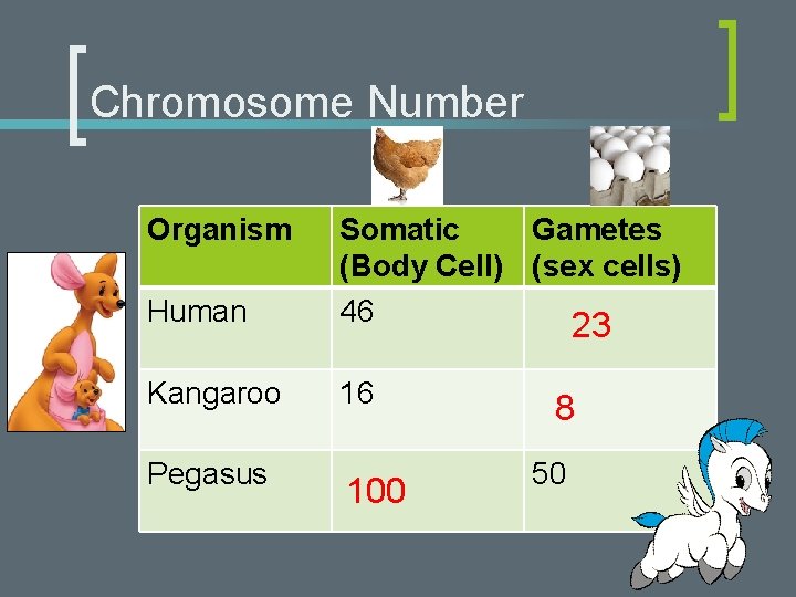 Chromosome Number Organism Human Kangaroo Pegasus Somatic Gametes (Body Cell) (sex cells) 46 23