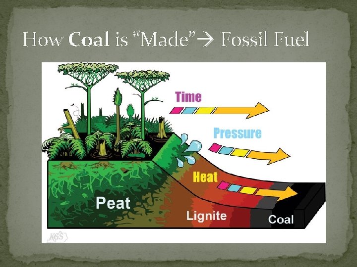 How Coal is “Made” Fossil Fuel 