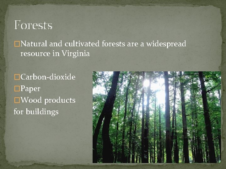Forests �Natural and cultivated forests are a widespread resource in Virginia �Carbon-dioxide �Paper �Wood