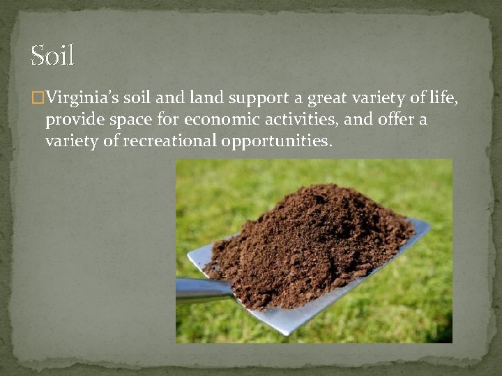 Soil �Virginia’s soil and land support a great variety of life, provide space for