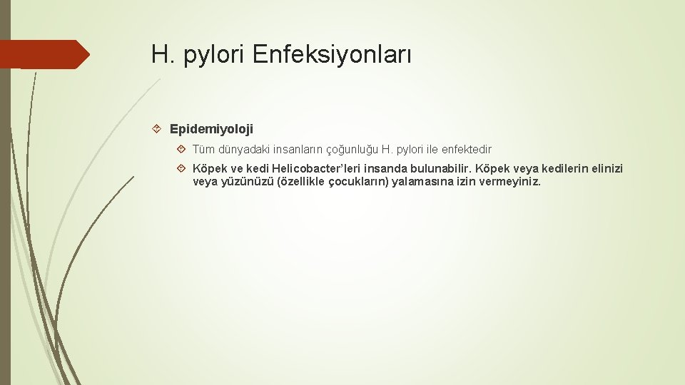 H. pylori Enfeksiyonları Epidemiyoloji Tüm dünyadaki insanların çoğunluğu H. pylori ile enfektedir Köpek ve